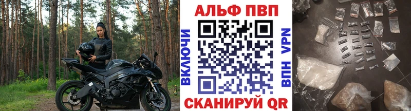 Альфа ПВП СК Петухово