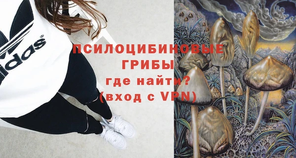 дурь Алзамай